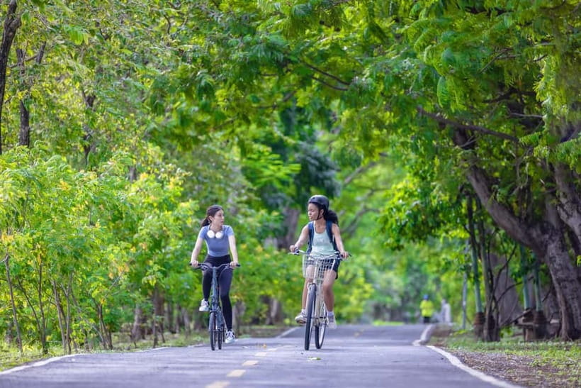 Chiang Mai Bicycle: Into The Lanna Countryside Guided Tour - Bikes, comfort level, and the e-bike upgrade