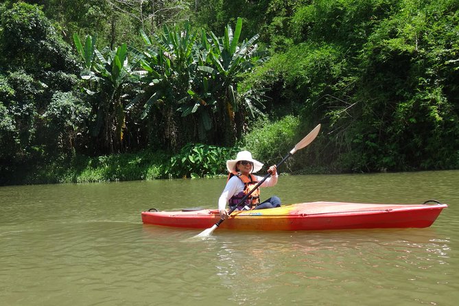 Chiang Mai Biking & River Kayak : Gentle Thrills in a Lush Valley - Key Highlights Worth Planning For