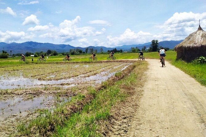 Chiang Mai Biking & River Kayak : Gentle Thrills in a Lush Valley - Who This Chiang Mai Bike and Kayak Tour Fits Best