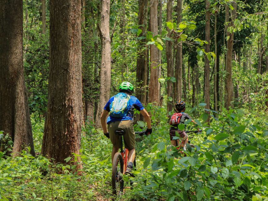 Chiang Mai: Boat Ride and Cycling Tour to Sticky Waterfall - Mae Kuang Reservoir Longtail Boat Ride: Slow Views Before the Work
