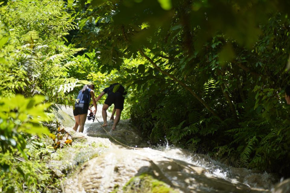 Chiang Mai: Bua Thong Sticky Waterfall and Huge Cave Tour - Price and Value: Why This $33 Trip Makes Sense