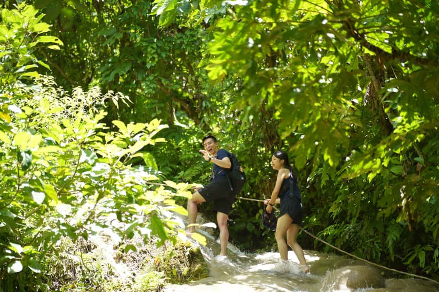 Chiang Mai: Bua Thong Sticky Waterfall & Huge Cave & Buffet - From Hotel Pickup to Cave First: How the Day Flows in Chiang Mai