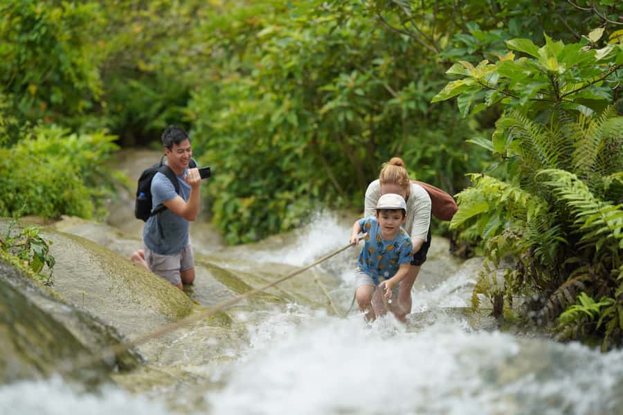 Chiang Mai: Bua Thong Sticky Waterfall & Huge Cave & Buffet - Entering Bua Tong Cave: Legend, 245 Steps, and a Real Stair Climb