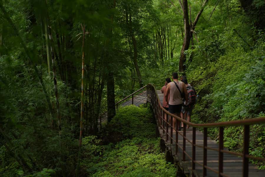 Chiang Mai: Bua Thong Sticky Waterfall & Huge Cave & Buffet - Price and Value: Is $30 Worth It for Sticky Waterfall + Cave + Spring?