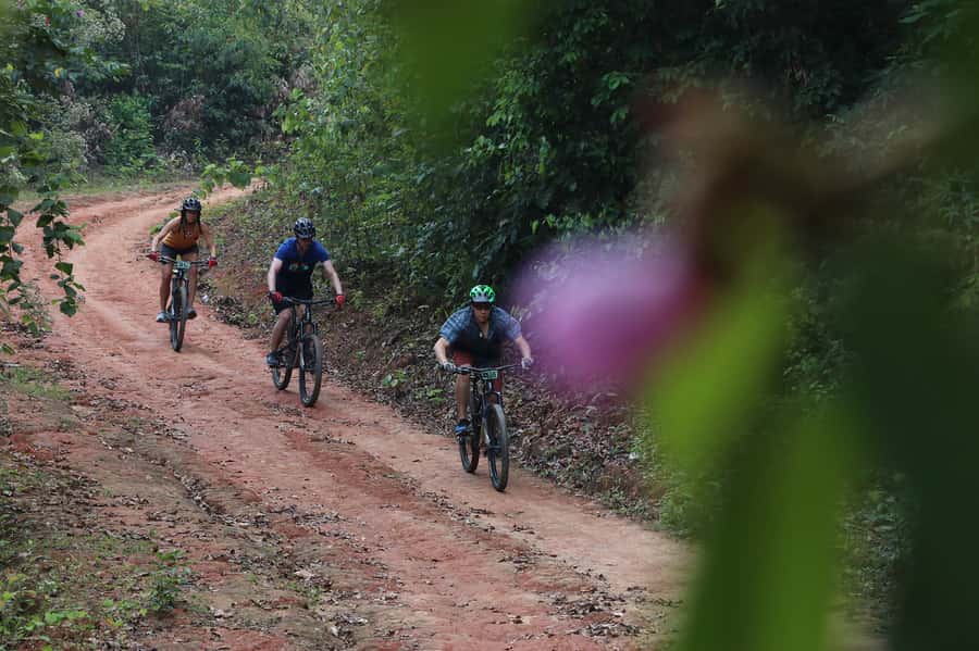 Chiang Mai: Buffalo Soldier Trail Guided Mountain Biking - Reaching Mae Rim: countryside cafe lunch and the final unwind