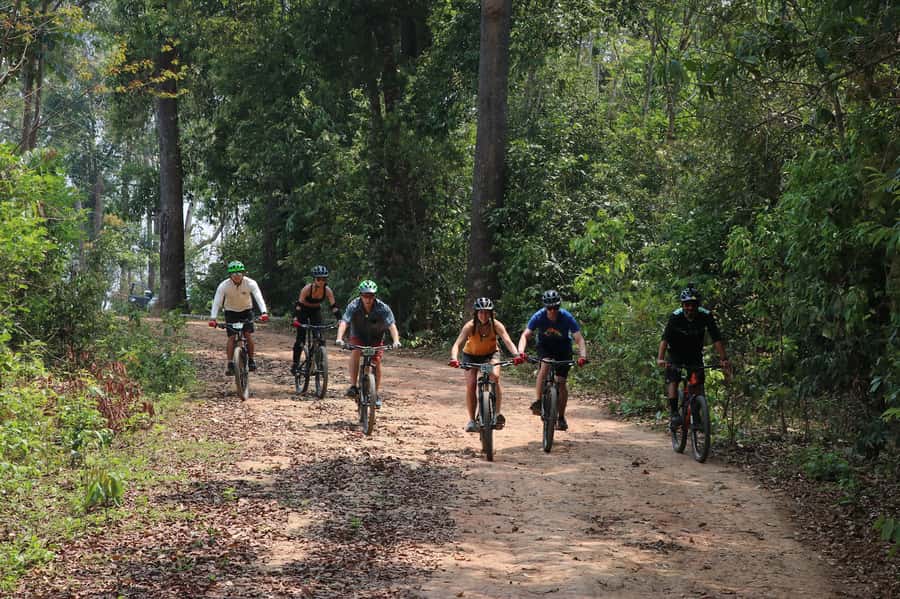 Chiang Mai: Buffalo Soldier Trail Guided Mountain Biking - Down through tea and coffee plantations on quiet roads