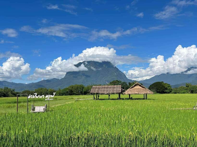 Chiang Mai: Chiang Dao 2 Days 1 Night Private Tour - What the itinerary is really doing for you (not just where you go)
