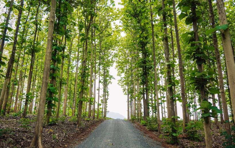 Chiang Mai: Chiang Dao 2 Days 1 Night Private Tour - Weather, comfort, and what to pack for Chiang Dao