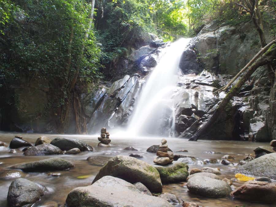 Chiang Mai: Chiang Dao Caves and Jungle Trek with Lunch - Chiang Dao Caves: Limestone Caverns, Stalactites, and a Shrine