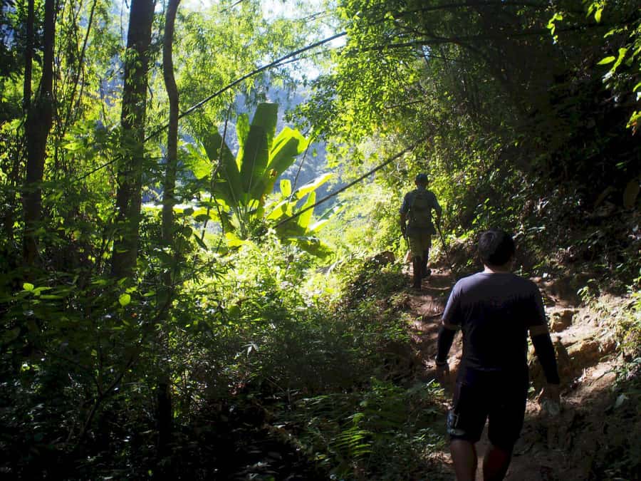 Chiang Mai: Chiang Dao Caves and Jungle Trek with Lunch - English/Thai Guide Style and Why a Private Group Helps