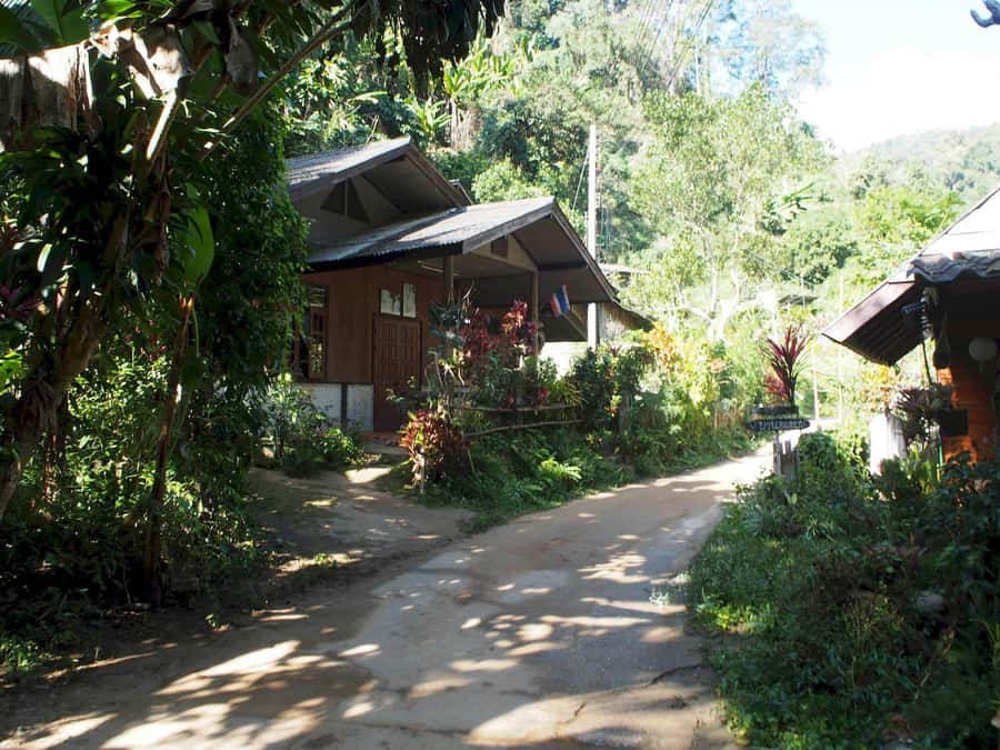 Chiang Mai: Chiang Dao Caves and Jungle Trek with Lunch - 7:30 AM Hotel Pickup and the Market Stop for Your Lunch