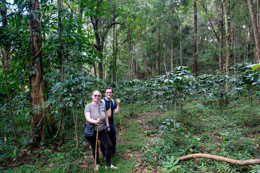 Chiang Mai Coffee Full Day Tour: Trek, Brew & Roast Journey. - The 50-minute trek to Growth Shed Plantation