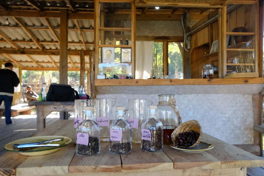 Chiang Mai Coffee Full Day Tour: Trek, Brew & Roast Journey. - Hill tribe farming and how the land shapes the cup