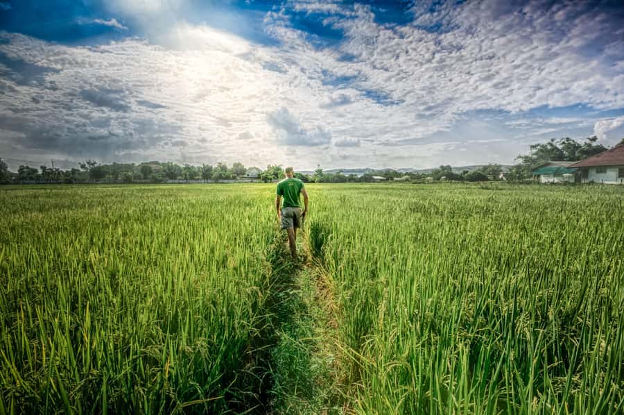 Chiang Mai: Countryside Adventure by Bike - Who should book this Chiang Mai bike adventure, and who should pass
