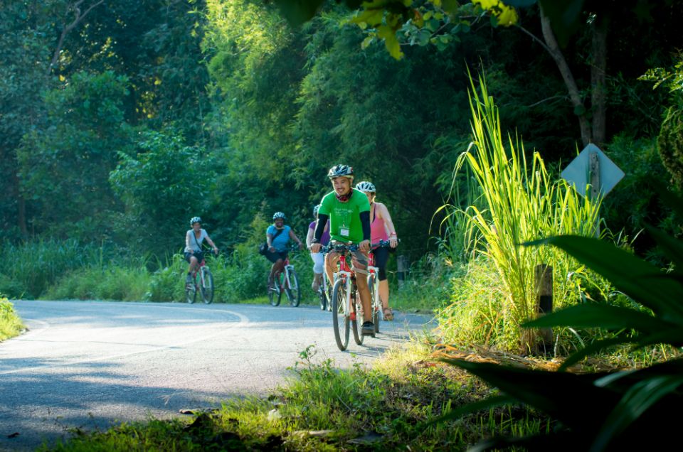 Chiang Mai Countryside E-bike Ride with Expert Guide & Lunch - Rolling countryside: orchards, canals, and that feeling of space