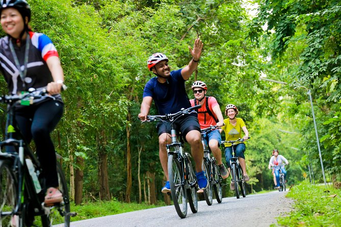 Chiang Mai Countryside Guided Bike Tour - Ping River Lunch Stop: Real Thai Food, Real Recovery Time