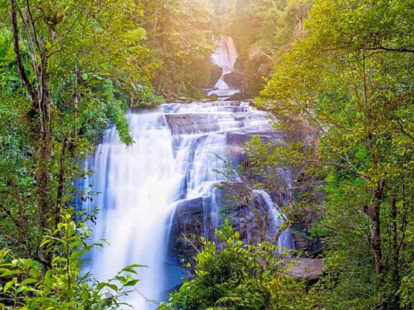 Chiang Mai: Customizable Chiang Mai Surrounding Areas Tour - Elephant Wood Carvings, Handicrafts, Caves, and Royal Project Stops That Add Meaning