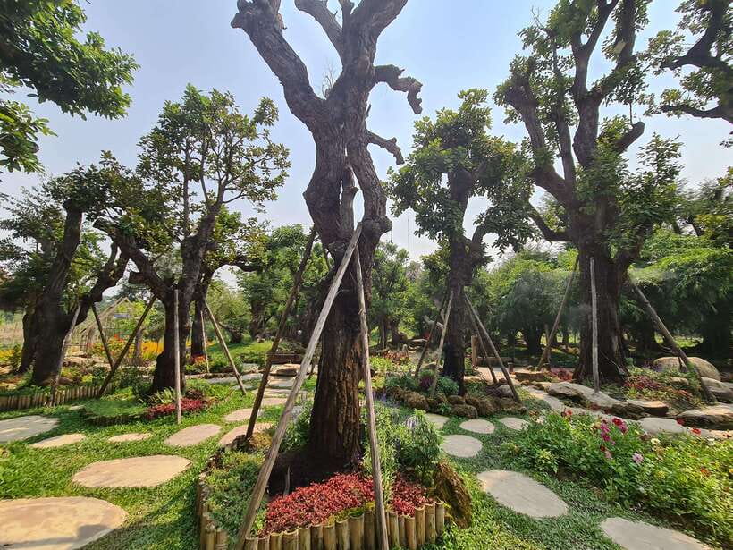Chiang Mai: Dantewada Land of Angels & Sticky Waterfall Tour - The Real-World Experience: Guides, Pace, and Photo Support