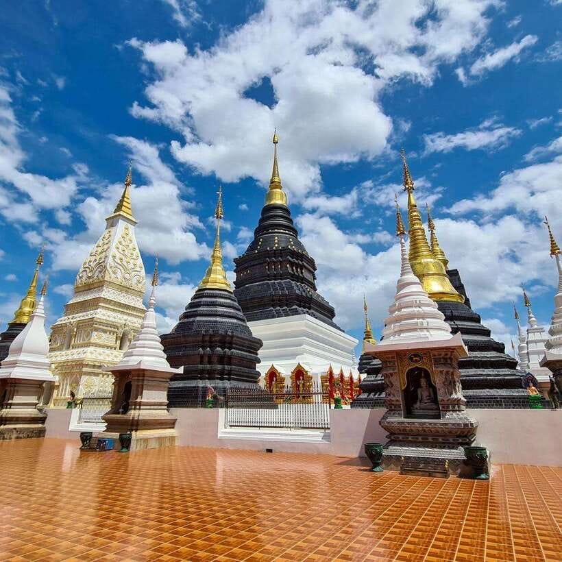 Chiang Mai: Dantewada ,Wat Ban Den Temple & Cafe Elephant - Who this tour suits best (and who might want something else)