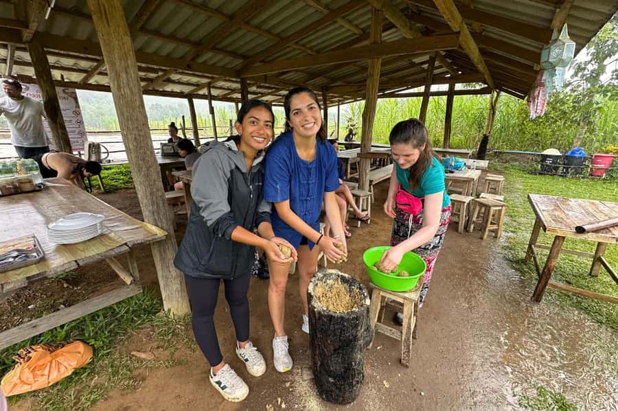Chiang Mai: Day for Elephant Observation Only Half-day Trip - From pickup to sanctuary: what the drive day sets you up for