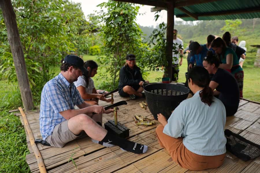 Chiang Mai: Day for Elephant Observation Only Half-day Trip - Elephant food prep and ethical feeding: hands-on without taking control