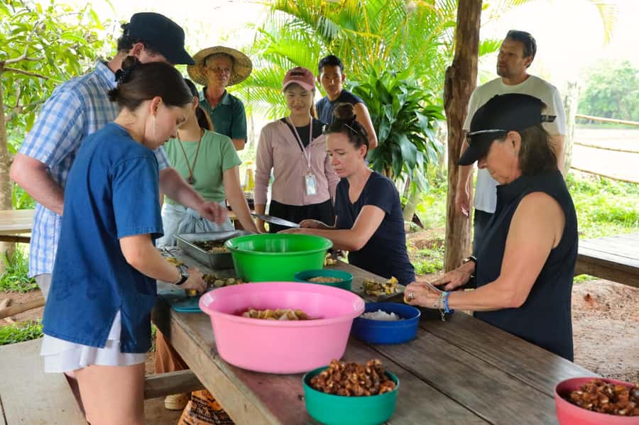 Chiang Mai: Day for Elephant Observation Only Half-day Trip - Pad Thai cooking workshop: the lunch part you’ll actually enjoy