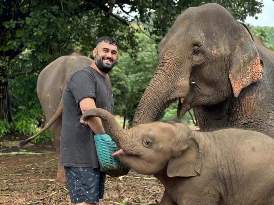 Chiang Mai: Doi Inthanon and Elephant Sanctuary Tour - How this Chiang Mai day earns its spot in your trip