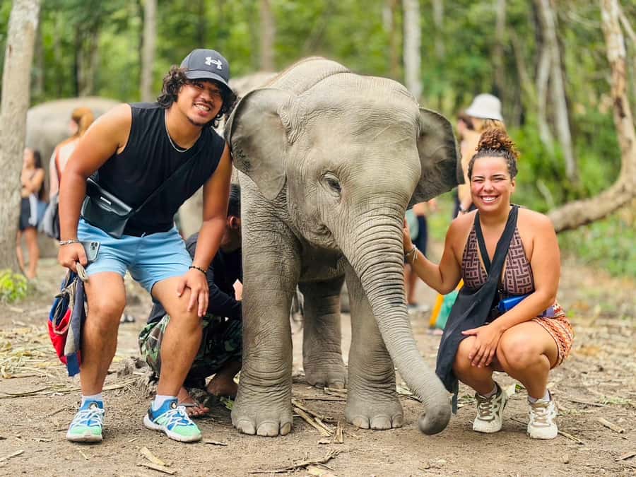 Chiang Mai: Doi Inthanon and Elephant Sanctuary Tour - Wachirathan Waterfall: the misty, photogenic main act