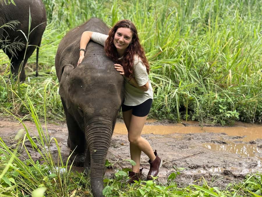 Chiang Mai: Doi Inthanon and Elephant Sanctuary Tour - Ethical elephant interaction: feeding, walking, and watching them forage