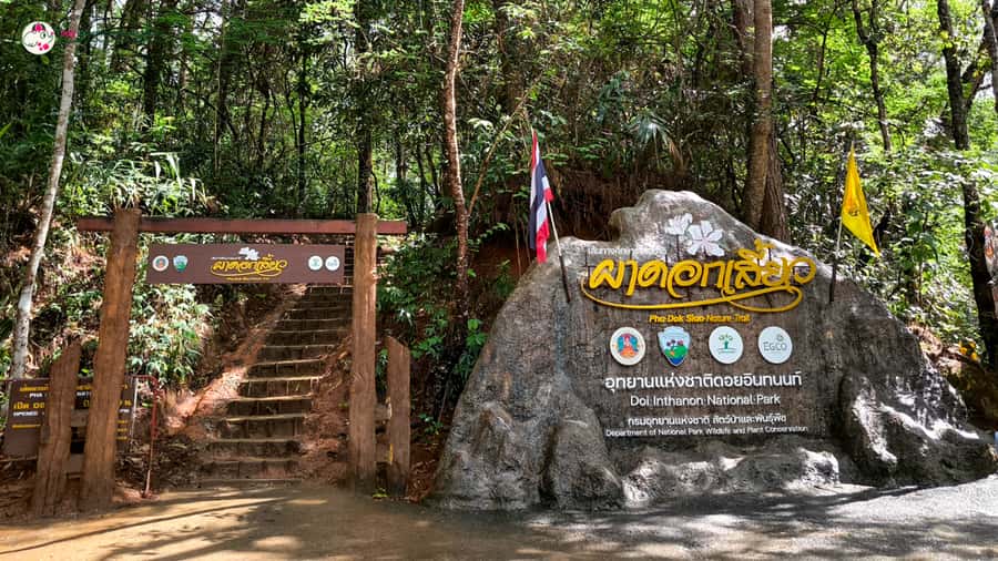 Chiang Mai: Doi Inthanon and Elephant Sanctuary Tour & Hike - Elephant sanctuary without riding: what you’ll do up close