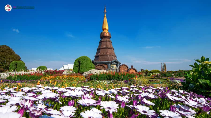 Chiang Mai: Doi Inthanon and Elephant Sanctuary Tour & Hike - Pha Dok Siew waterfall: the hike, the slick ground, and swimming time