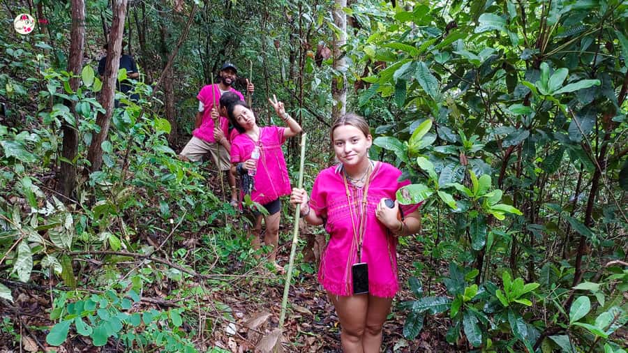 Chiang Mai: Doi Inthanon and Elephant Sanctuary Tour & Hike - Mae Klang Luang hill tribe village: Karen coffee and handmade souvenirs