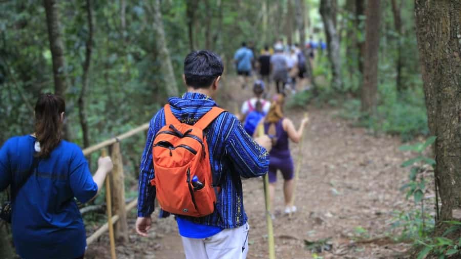 Chiang Mai: Doi Inthanon and Elephant Sanctuary Tour & Hike - Hotel pickup, the 4x4 switch, and how the timing really feels