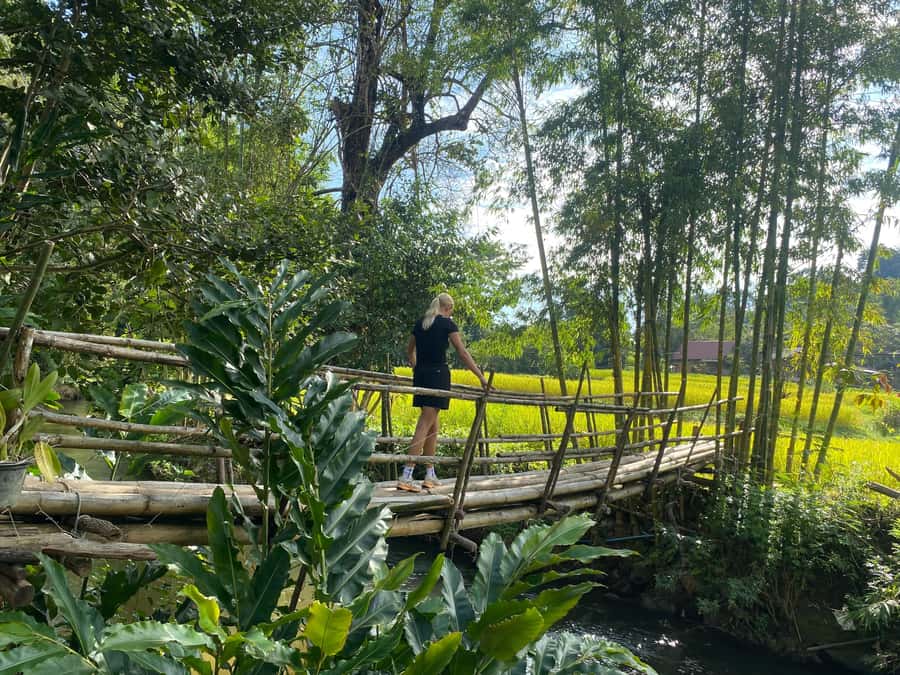 Chiang Mai: Doi Inthanon Explore & ATV Adventure - The ATV adventure: how to plan for 1.5 vs 2 hours
