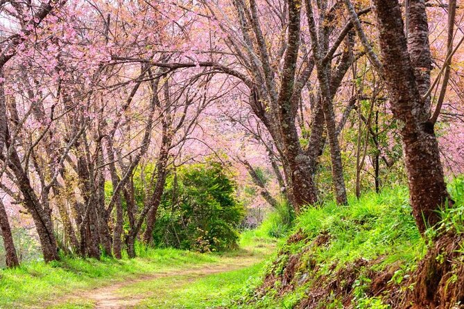 Chiang Mai - Doi Inthanon Full day Tour - Price and Value: What THB Fees Change