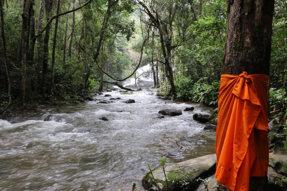 Chiang Mai: Doi Inthanon Highlights Small Group Tour - The guide experience: what matters most during the day