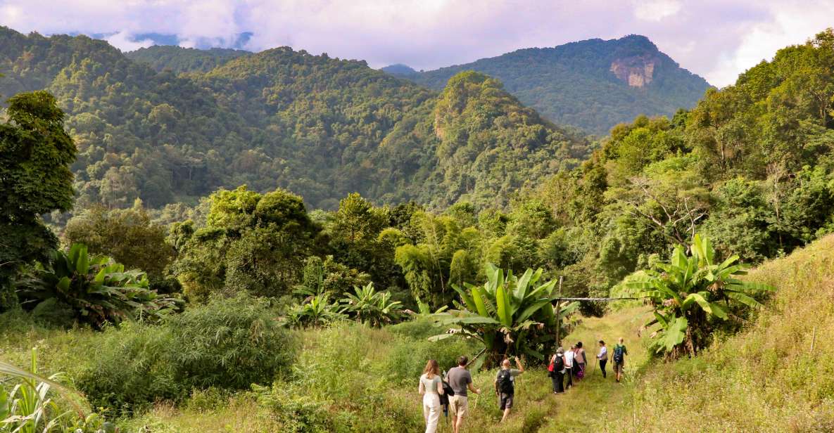 Chiang Mai: Doi Inthanon Highlights Small Group Tour - From Chiang Mai pickup to Doi Inthanon’s cooler air