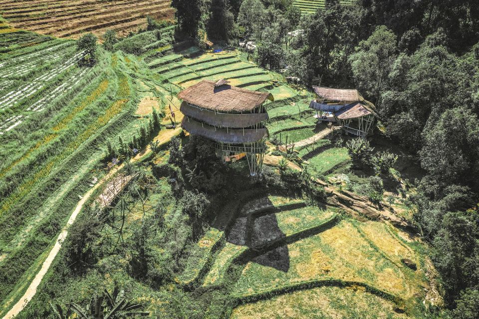 Chiang Mai: Doi Inthanon Highlights Small Group Tour - The Karen-led 5km jungle hike: what you’ll actually notice