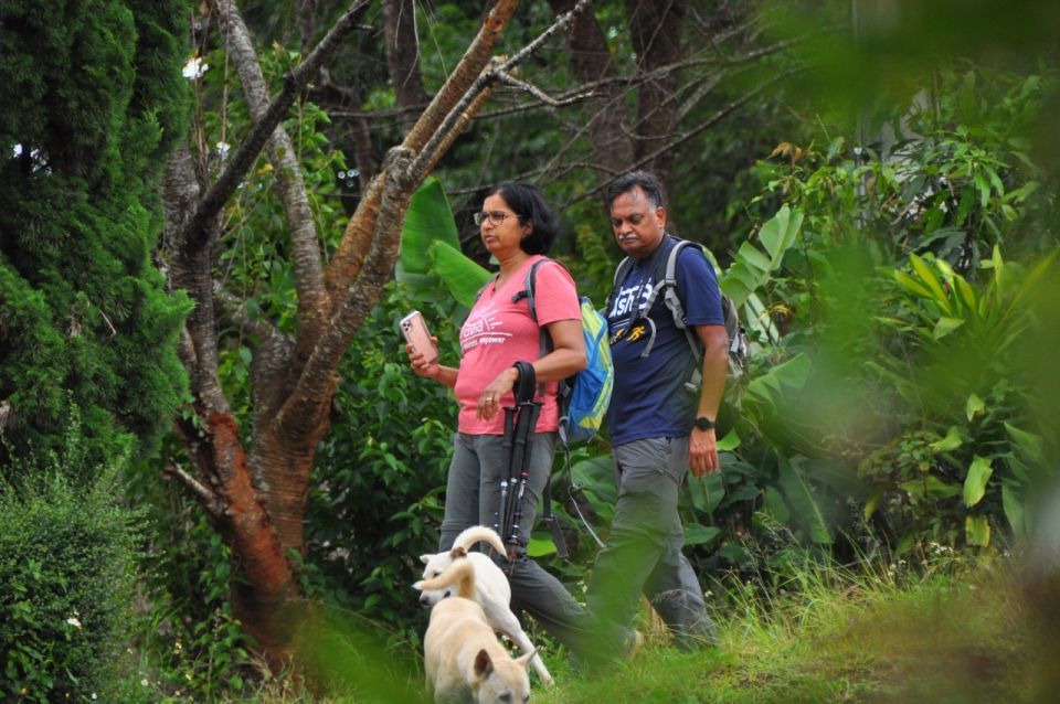 Chiang Mai: Doi Inthanon Highlights Small Group Tour - Wachirathan waterfall: ending on a big, scenic payoff