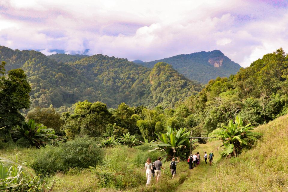 Chiang Mai: Doi Inthanon Highlights Small Group Tour - Ang Ka trail at Thailand’s highest point