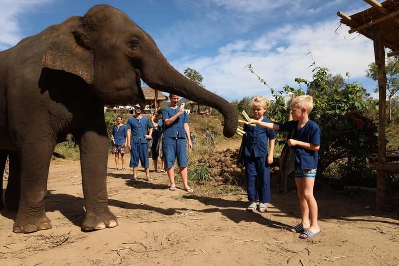 Chiang Mai: Doi Inthanon Hiking & Elephant Sanctuary Program - Living Green Elephant Sanctuary: what ethical elephant time actually feels like