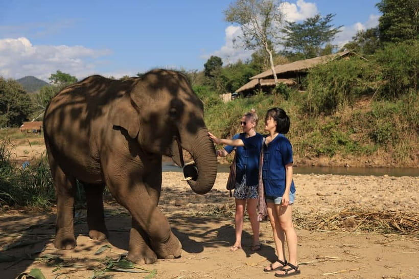 Chiang Mai: Doi Inthanon Hiking & Elephant Sanctuary Program - Doi Inthanon summit and the Twin Pagodas: cold mist and big religious calm
