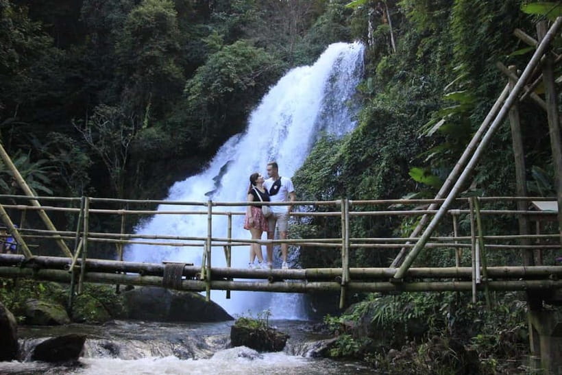 Chiang Mai: Doi Inthanon Hiking & Elephant Sanctuary Program - Organic Karen hilltribe coffee farm: culture you can taste
