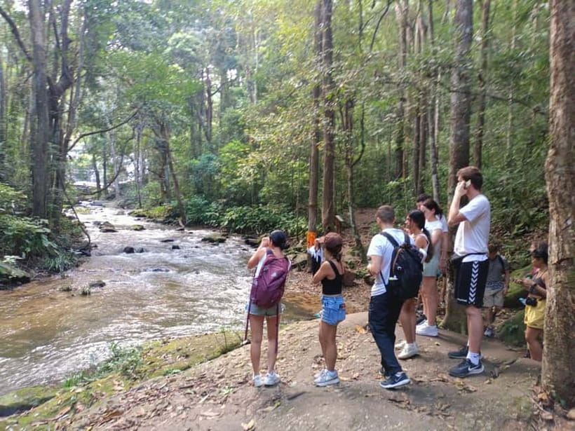 Chiang Mai: Doi Inthanon Hiking & Elephant Sanctuary Program - Price and value: how $56 stacks up for this packed day