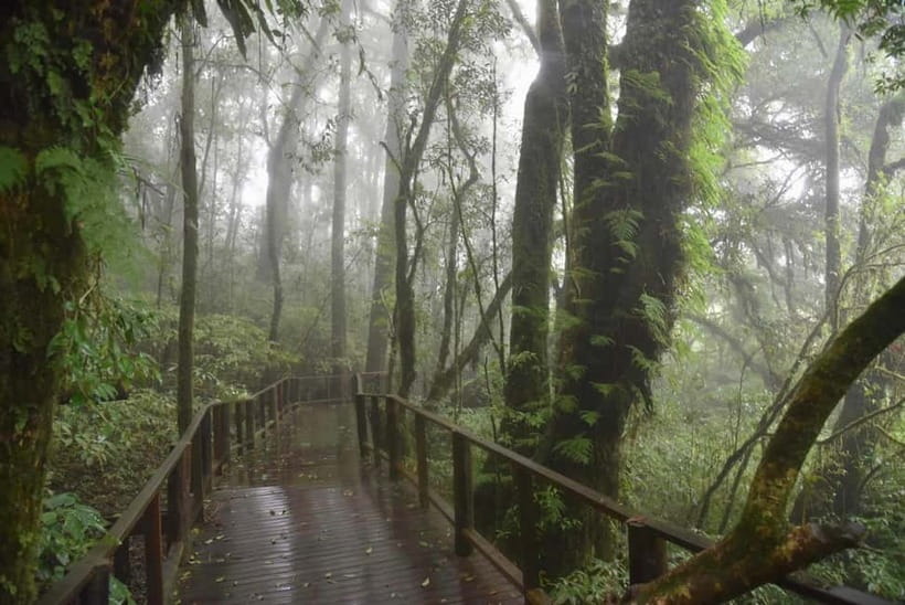 Chiang Mai: Doi Inthanon National Park and Kew Mae Pan Tour - Entering Thailand’s highest spot at 2,565 meters