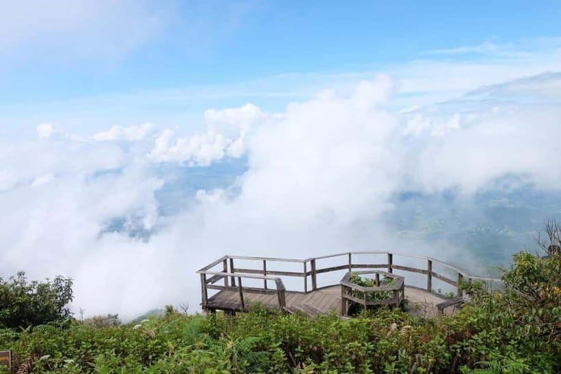 Chiang Mai: Doi Inthanon National Park and Kew Mae Pan Tour - Walking the Kew Mae Pan Nature Trail’s 2.5 km cloud forest