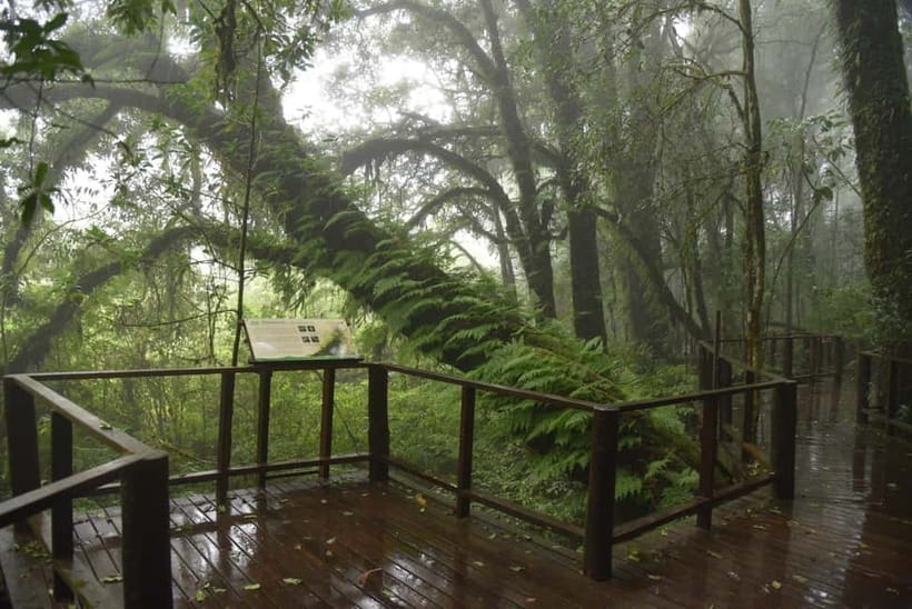 Chiang Mai: Doi Inthanon National Park and Kew Mae Pan Tour - Lunch, then Karen crafts: what these stops do for your day