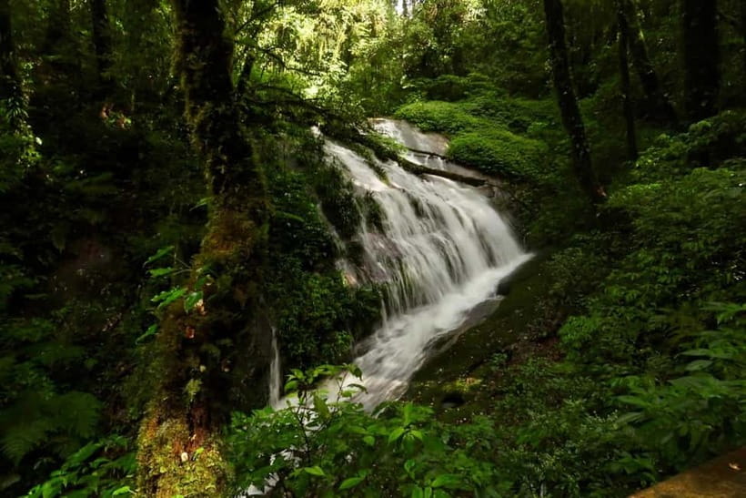 Chiang Mai: Doi Inthanon National Park and Kew Mae Pan Tour - What to pack and how to prepare for real conditions