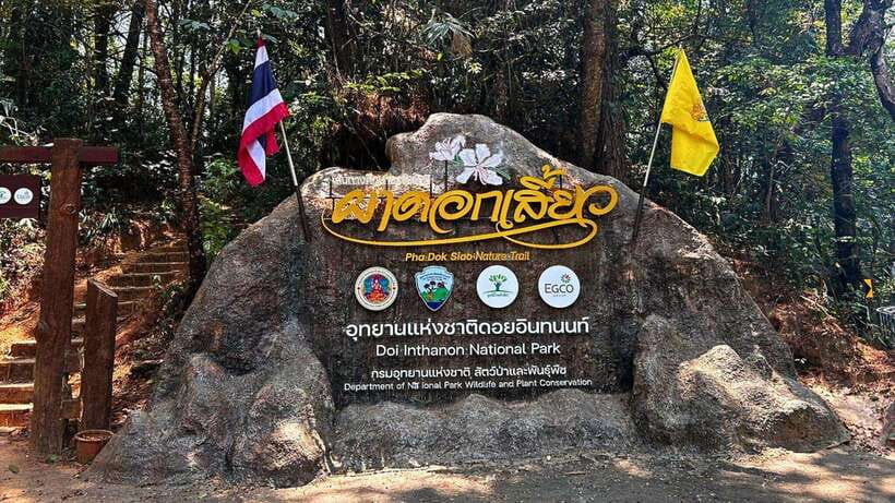 Chiang Mai: Doi Inthanon National Park and Pha Dok Siew Trek - Doi Inthanon from Chiang Mai: what makes it worth the day