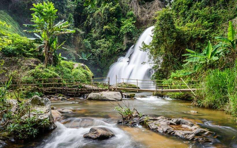 Chiang Mai: Doi Inthanon National Park and Pha Dok Siew Trek - Pha Dok Siew Nature Trail: easy-moderate, but plan for stairs